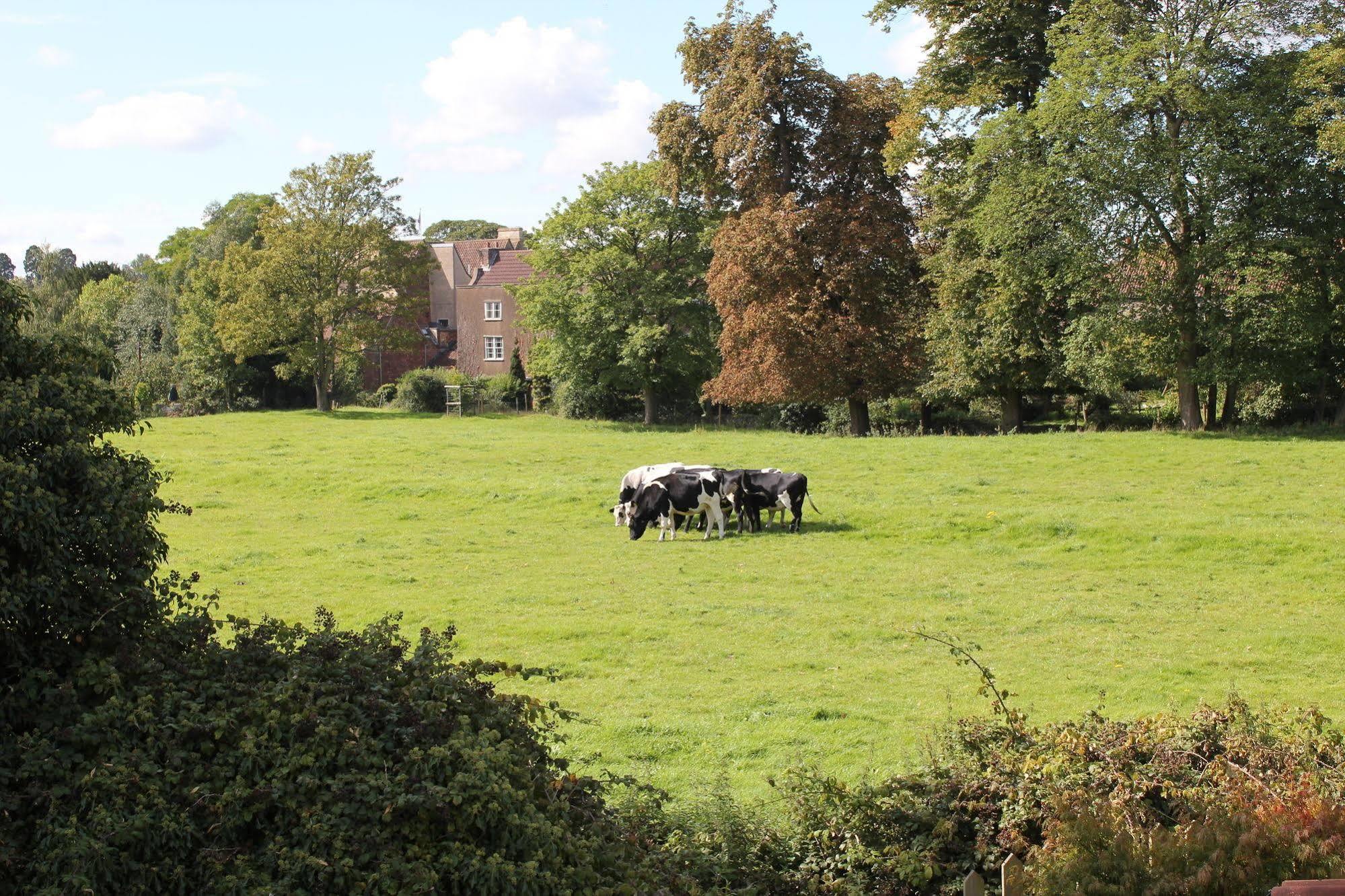 The Coach House Bed & Breakfast Winterbourne Exterior photo